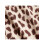 Superdry (18135464, 701) roar 3