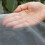 Pe Tuinscherm Anti Insectennet Vogelwering 9