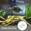10St Filterzakken Wit Aquarium En Visvijverfilter 3