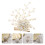 1Parel Broche Vrouwen Mode Bruiloft Feest En Bouquets 7