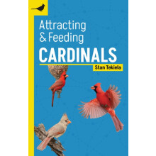 Attracting Feeding Cardinals by Stan Tekiela Paperback Book