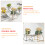 50St Gele Bloemlabels Ovaal Decoratief 4