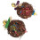 2St Speelbal Creatief Speelgoed Huisdieren 1
