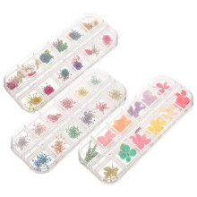 3Box Natuurlijke Gedroogde Voor DIY Epoxy Hars En Nail Art