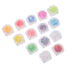 Shiny Nail Art Sequins Voor Vrouwen En Nagelstylisten