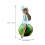 3St Decoratieve Fruit Spaarpot Voor Op 2