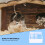 1Hamster Tunnel Speelgoed , Activiteit En Rustplek 3