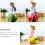 3St Decoratieve Fruit Spaarpot Voor Op 6