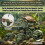 (Small Turtle Cave) Turtle Basking Rock Cave - Eco Resin Decor 2