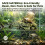 (Small Turtle Cave) Turtle Basking Rock Cave - Eco Resin Decor 3