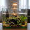 (Small Turtle Cave) Turtle Basking Rock Cave - Eco Resin Decor 5