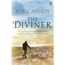 Diviner by Joe Cassidy Paperback Book