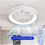 Fan Light Remote Control QH007 Ceiling Fan Light  Inverter Ceiling Fan Lights Remote Control & 2.4G Driver Controller 6