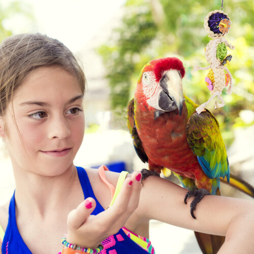 2St Hangspeelgoed Van Kleine Vogels 2