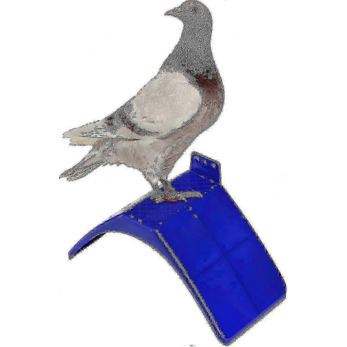 20 τεμάχια βάση Dove Rest, ελαφριές κούρνιες περιστεριών από πλαστικό, βάση γι 2