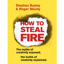How to Steal Fire by Roger Mavity Paperback Book