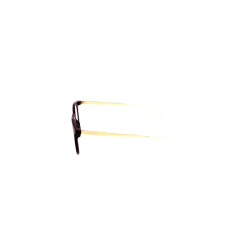 Carrera Carrera CA6665 47/21/145 Plumbgoud Polyamide UNISEX CA6665 2