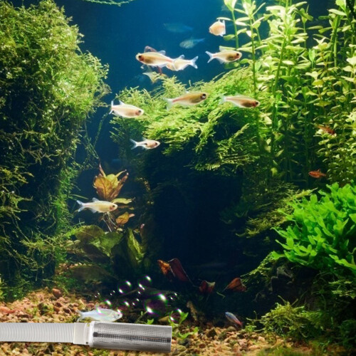 1St Vervangende Filter Mesh Case Aquarium En 2