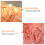 1Pak Gouden Shredded Tissue Paper Geschenkdoos 4