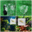 Duurzame Aquarium Broedbox Met Visisolatiefunctie 4