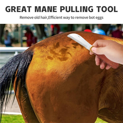 Hand Stripping Tools for Horse Dog Grooming, Shedding Blade & Bot Egg Remover 2
