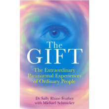 Gift by Sally RhineFeather Dr Michael Schmicker Paperback Book