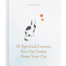 10 Spiritual Lessons You Can Learn from Your Cat by Joanna Sandsmark H