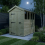8 x 4 Apex Shed Tanalised (Single Door, With Windows) 3
