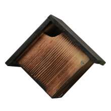 1St Zwart Vleermuis Nest En Broedbox