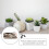 1St Kleine Creatieve Rabbit Voor Decoratieve Succulenten 4