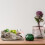 1St Kleine Creatieve Rabbit Voor Decoratieve Succulenten 8