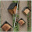1St Zwart Vleermuis Nest En Broedbox 3
