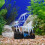 Realistische Blauwe Zeenaald Aquarium Decor 7