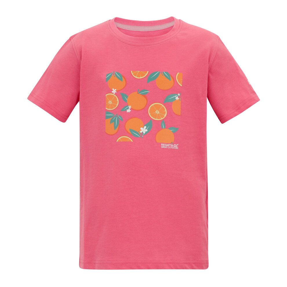 Regatta (3-4 Years, Pink Lemonade) Childrens/Kids Bosley Orange T-Shirt