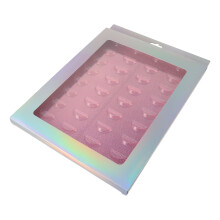 1St Kunstwimpers Opbergbox Lichtgewicht Plastic Make-Up Accessoire