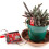 SEN-30480 Capacitive Soil Moisture Sensor for Automatic Watering Detection Moisture Detection Corrosion Resistant 6