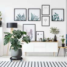 Intrekbare plantenrol
