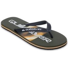 (10 UK, Grape Leaf Holmes) Quiksilver Mens Molokai Stripe Flip Flops