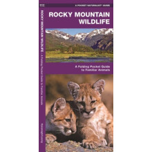 Rocky Mountain Wildlife by James Kavanagh Paperback Book