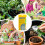 Hozelock Hozelock Capillary Mat Set Replacement Watering 2 Pack 6