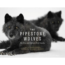 The Pipestone Wolves The Rise and Fall of a Wolf Family by Gnther Bloc