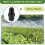 2 Pcs Drip Irrigation Inline Y Filter with Mesh Screen, 3/4in X 3/4in Male Thread Connections Hydroponics Y Filter 4