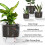 Conjunto de 3 Vasos de Plantas de 6/5/4 Polegadas, Vasos Autoirrigáveis com Reservatório e Corda de Algodão Absorvente. 5