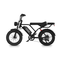 AOVOPRO AP20 Mini Electric Bike - 20" Fat Tire, 750W 48V 15.6Ah, 31MPH