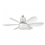 LED Ceiling Fan Light Dimmable Living Room Lamp Remote Control Color Changing 1