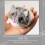 2St Interactieve Klitterende Kattenmuis En Kittens 9