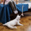 1Kat Speelstok Hout Met Interactief Speelgoed 8