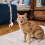 1Kat Speelstok Hout Met Interactief Speelgoed 9