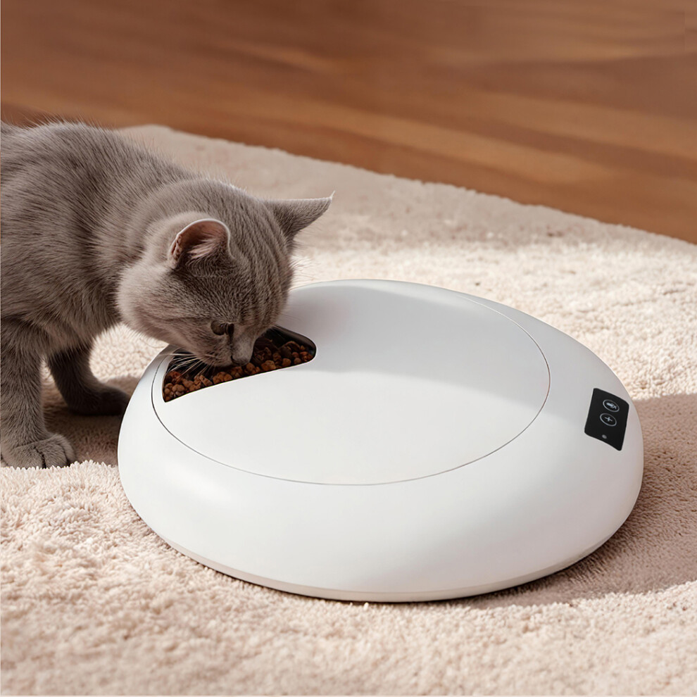 B&Q - Automatic Pet Bluetooth Feeder 6-Meal Chilled Wet Dry Food Dispenser - Image 3