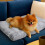 Skylos Large Dog Bed Mattress Soft Plush Cat 1